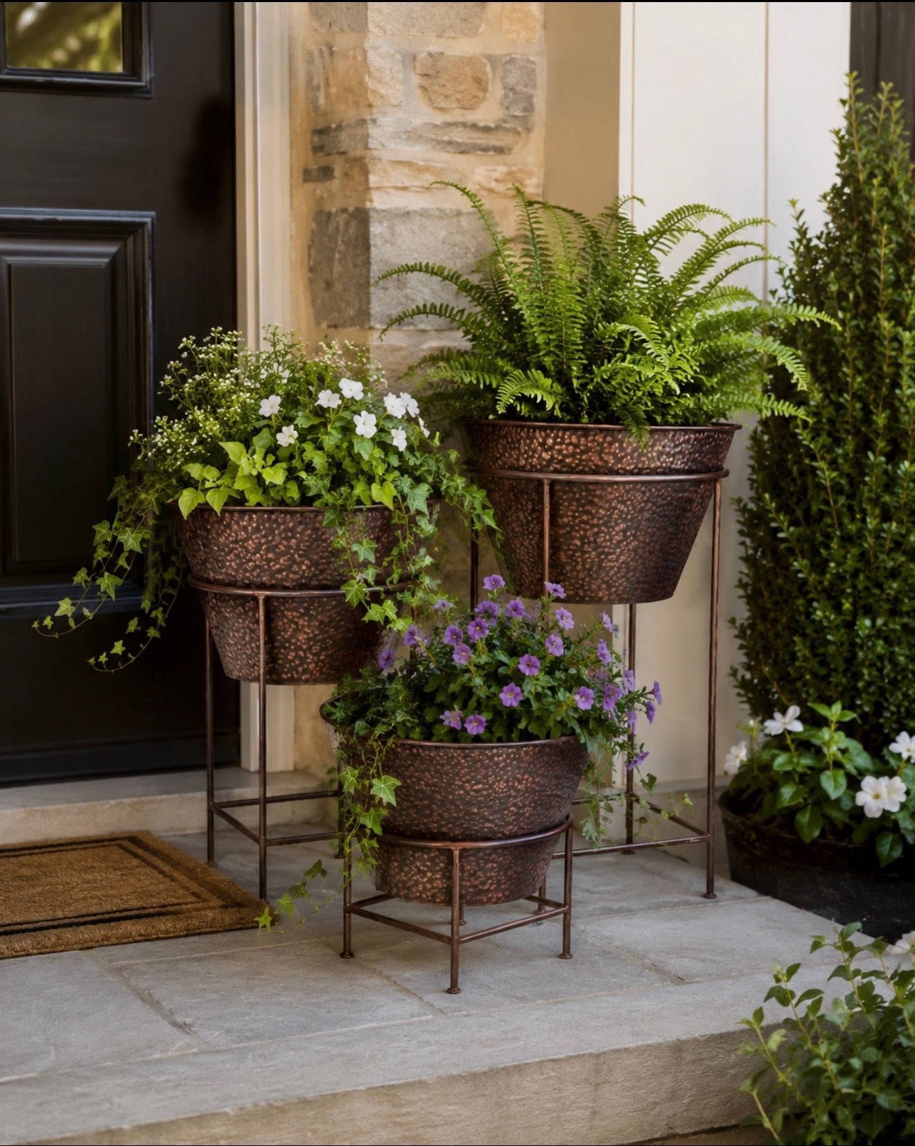 Spider Plant Pot