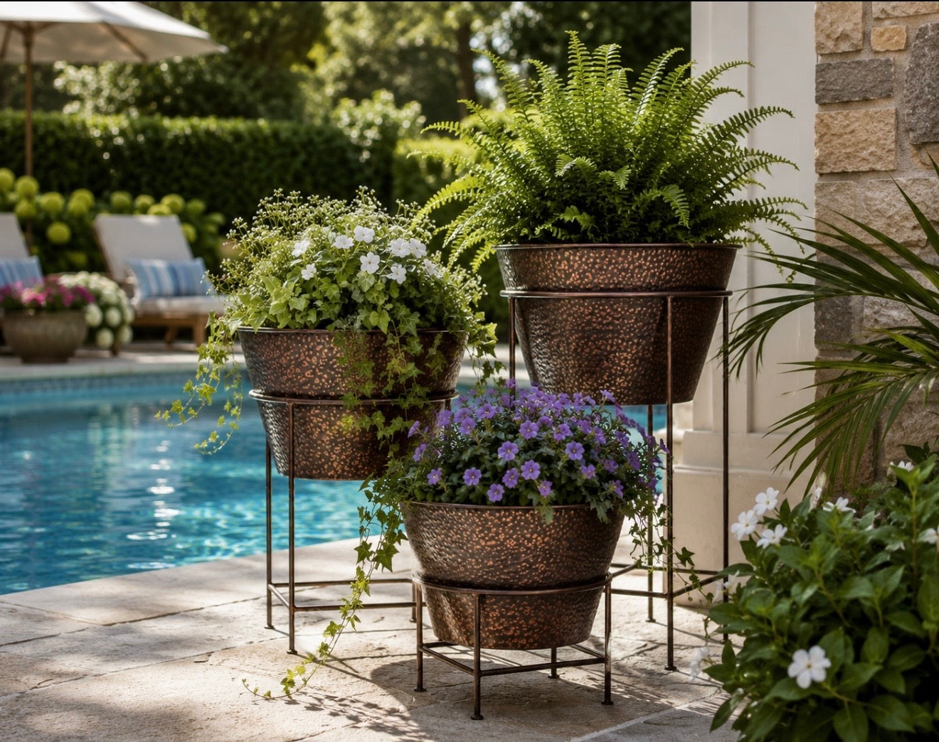 Spider Plant Pot