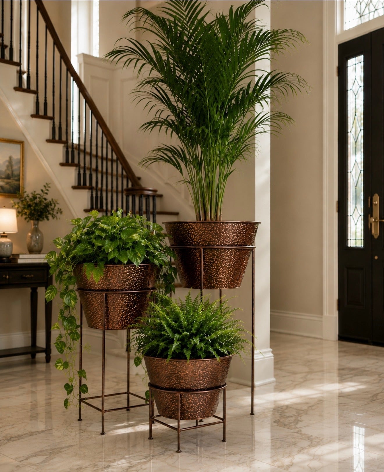 Spider Plant Pot